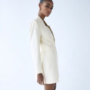 Zara Inverted lapel collar frock coat